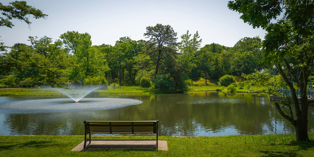 The Art of Landscape Photography